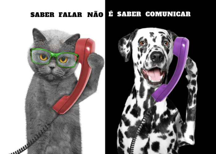 Saber falar não é saber comunicar